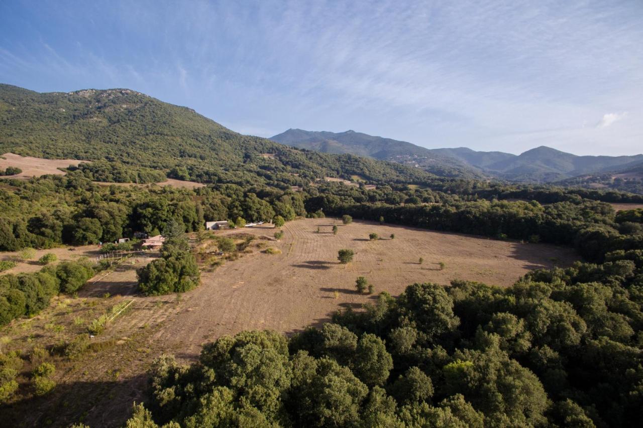 Domaine Finili Βίλα Cauro Εξωτερικό φωτογραφία