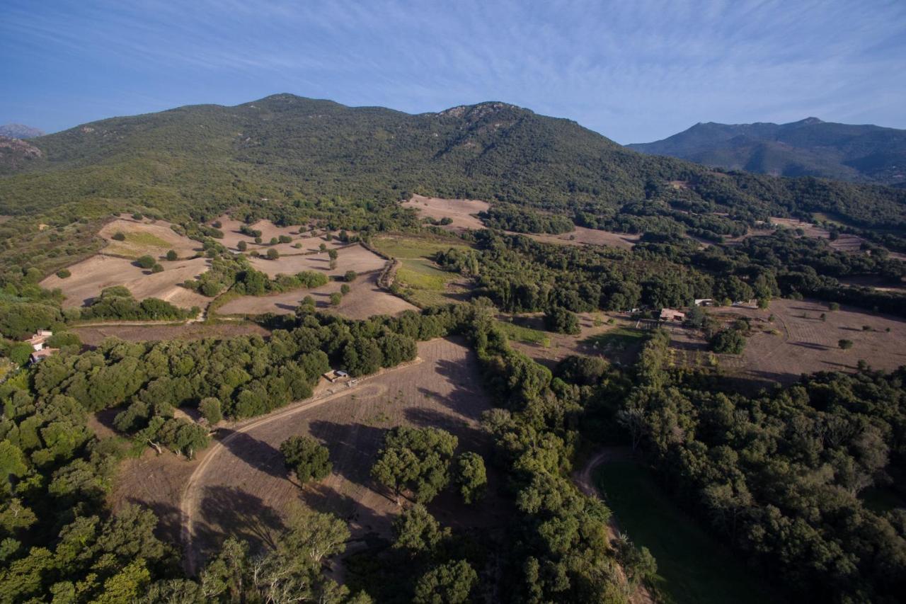Domaine Finili Βίλα Cauro Εξωτερικό φωτογραφία